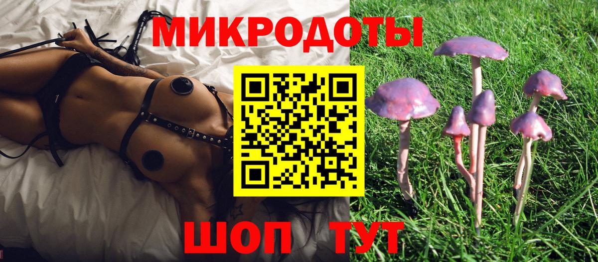 Галлюциногенные грибы Cubensis Нижний Новгород